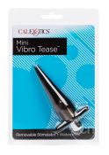 Mini Vibro Tease Butt Plug 716770055620